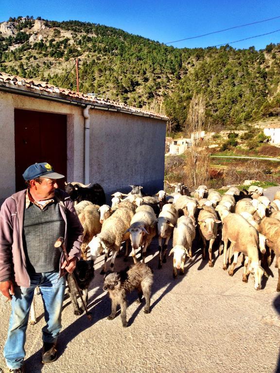 Casas Rurales Vegasierra Bogarra Kültér fotó