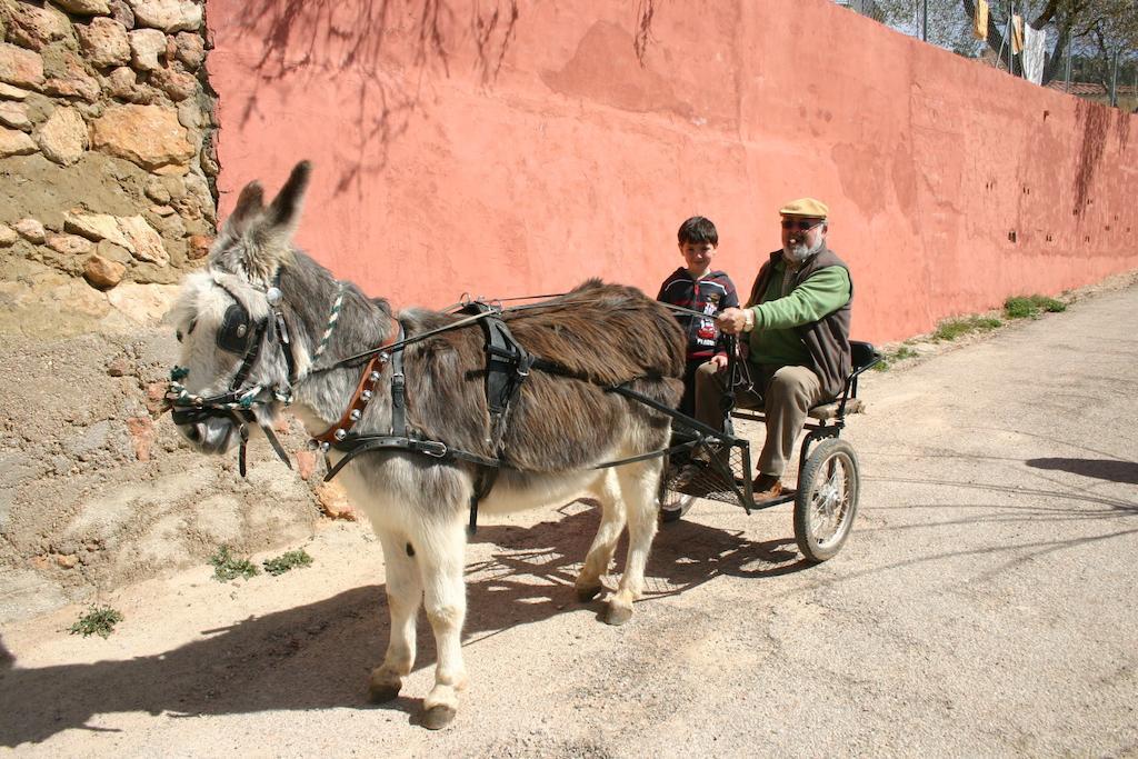 Casas Rurales Vegasierra Bogarra Kültér fotó